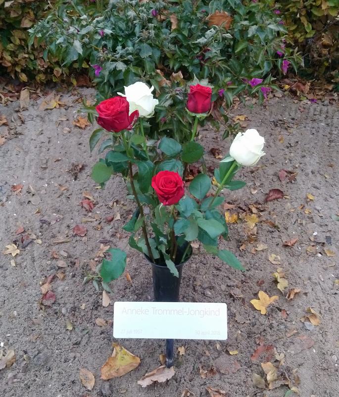 Bloemen op Anneke's graf